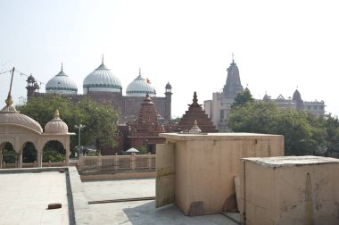 Keshav dev tapınağı ve cami, mathura, uttar pradesh, Hindistan, Asya 