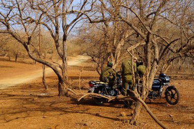 Bisikletli orman bekçisi, Gir Vahşi Yaşam Sığınağı, Gujarat, Hindistan, Asya 