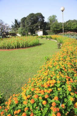 Asılan bahçede lamba ve turuncu kırmızı çiçekler efendim feroş mehta bahçesi, Bombay Mumbai, Maharashtra, Hindistan