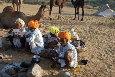 Erkekler deve tarlasında, Puşkar panayırı, Rajasthan, Hindistan