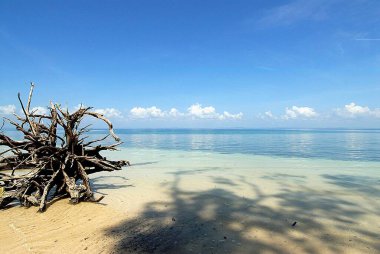 Radhanagar plajı; Havelock Adaları; Bengal Körfezi; Andaman ve Nicobar Adaları; Hindistan Kasım 2008