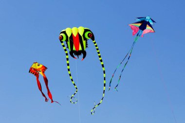 Uçurtma festivali, Surat, Gujarat, Hindistan, Asya