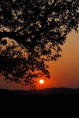 Sahyadri 'nin ağaç ve sıradağlarının ardında renkli günbatımı Vashishti Darshan noktasından görüntü Chiplun Ratnagiri Maharashtra