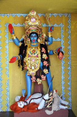 Tanrıça Kali Festivali, Kolkata, Batı Bengal, Hindistan, Asya