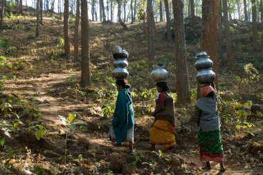 Netrahart, Jharkhand, Hindistan 'da su arayan kabile kadınları. 