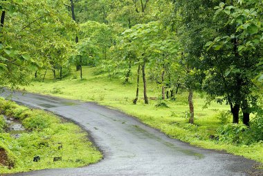 Tansa Gölü Yolu, Thane Bölgesi, Maharashtra, Hindistan 'da, Muson' da yeşillik 