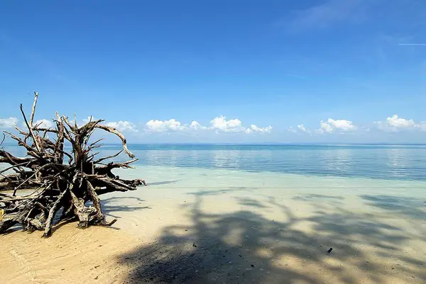 stock image Radhanagar beach ; Havelock Islands ; Bay of Bengal ; Andaman and Nicobar Islands ; India November 2008