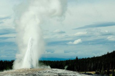 Eski sadık gayzer Yellowstone Ulusal Parkı, Wyoming, Amerika Birleşik Devletleri 'nde faaliyet gösteriyor