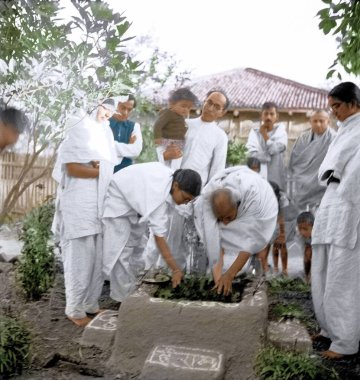 Mahatma Gandhi ve Abha Gandhi tül ağacı dikiyorlar, Wardha, Maharashtra, Hindistan, Asya, Ağustos 1944
