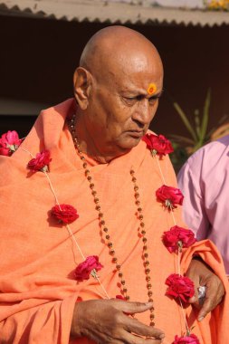 Haridwar 'daki Swami Satyamitranand Hindistan' daki Uttrakhand Asya 