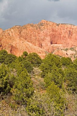 Kolob Kanyonu 'nun kırmızı kumtaşı dağları, Zion Kanyonu Ulusal Parkı, Amerika Birleşik Devletleri.