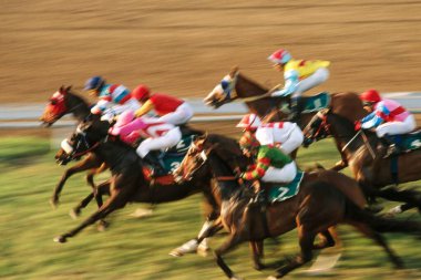 At yarışı, Mahalaxmi, Mumbai Bombay, maharashtra, Hindistan 