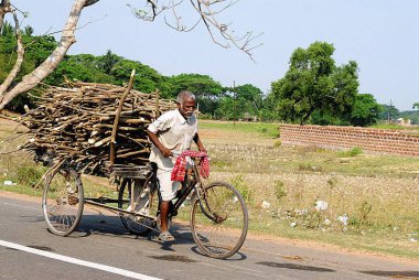 Çiftçi ailesini, Bhubaneswar 'ı, Orissa' yı, Hindistan 'ı beslemek için çok çalışıyor. 