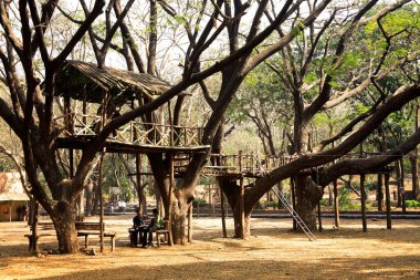 Sanjay Gandhi Ulusal Parkı, Borivali, Bombay Mumbai, Maharashtra, Hindistan 'da insan yapımı bambu yapı iskelesi platformu kuruldu. 