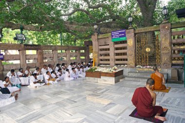 Gautam Buddha 'nın UNESCO Dünya Mirası Mahabodhi Tapınağı, Bodhgaya, Bihar, Hindistan' da aydınlanmaya ulaştığı Bodhi ağacına tapan insanlar