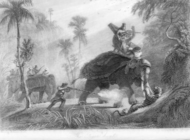 Kaplan Avı, Hindistan, Vintage Renksiz Lithograf