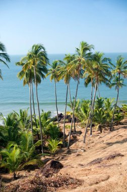 Sindhudurg 'daki Khavne Sahili, Maharashtra, Hindistan