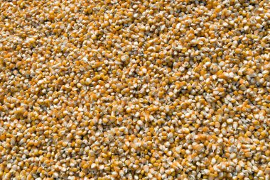 Kurumuş taneler masa yüzeyine saçılmış.