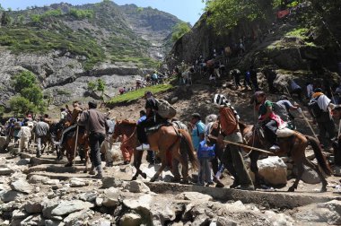 Pilgrim, amarnath yatra, jammu Kashmir, Hindistan, Asya