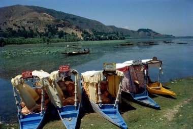 Shikara, Manasbal Gölü, Jammu ve Kashmir, Hindistan