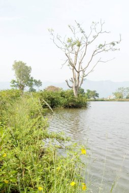 Pykara lake ; Udhagamandalam Ooty ; Tamil Nadu ; India clipart