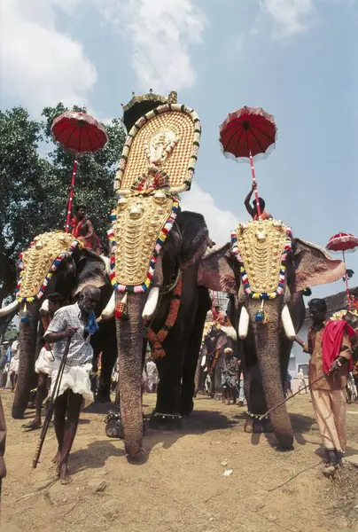 stock image Uthralikavu pooram, Elephants March procession of bejeweled temple Festival, kerala, india 