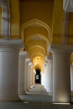 Thirumalai Naicker Sarayı Madurai Tamilnadu Hindistan Sütunları 