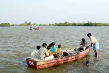 İnsanlar Pichavaram mangrove ormanı yakınlarındaki teknelerde seyahat ediyorlar, Chidambaram, Tamil Nadu, Hindistan 