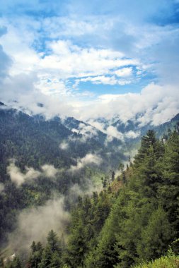 Valley and pine trees, Doodhpathri, Budgam, Kashmir, India clipart