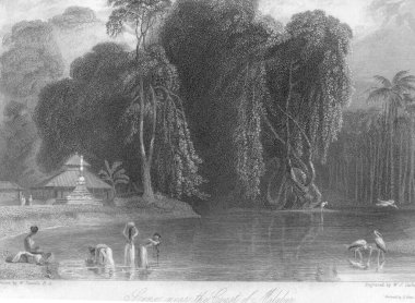 Malabar Sahili, Hindistan Sahili 