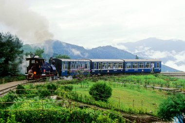Batı Bengal Hindistan 'da Darjeeling batasia döngüsü 