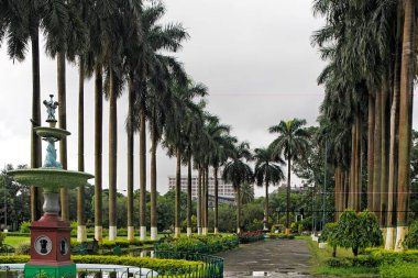 Cennet Bahçelerinde Palmiye Bulvarı, Kalküta Kolkata, Batı Bengal, Hindistan