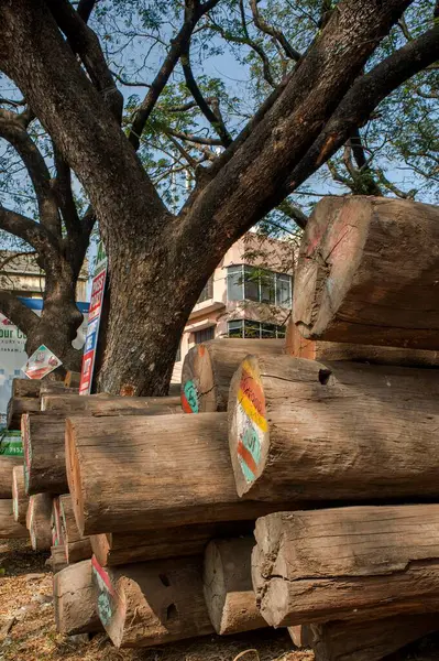 stock image Timber wood log, kottayam, Kerala, India, Asia