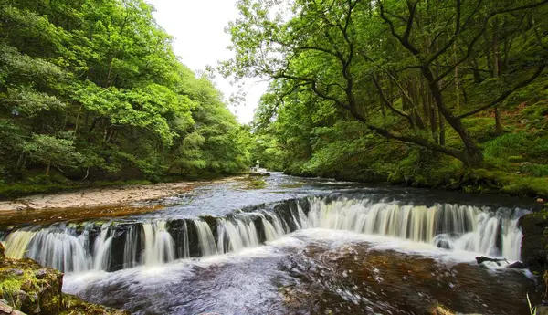 İngiltere 'deki Galler' de Brecon Beacons Ulusal Parkı şelaleleri