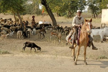 Köydeki Atlı, Köy yaşamı, Akola, Akot, Maharashtra, Hindistan