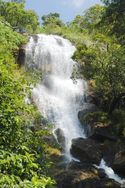 Coonoor yakınlarında bir şelale; Nilgiris; Tamil Nadu; Hindistan