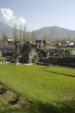 Avanti bataklık tapınağı Avantipur Jammu & Kashmir Hindistan 'da harabe. 