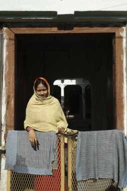 Pencereden bakan kadın, Dilwara, Rajasthan, Hindistan 