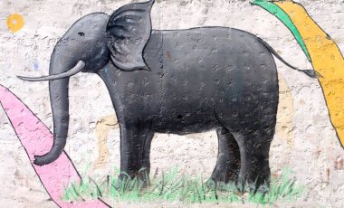 Fil - Rajiv Gandhi Zooloji Parkı, Katraj, Pune, Maharashtra, Hindistan 'ın duvarına boyanmış vahşi hayvan
