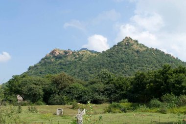 Thiruvannamalai 'deki kutsal Arunachala tepesi, Tamil Nadu, Hindistan 