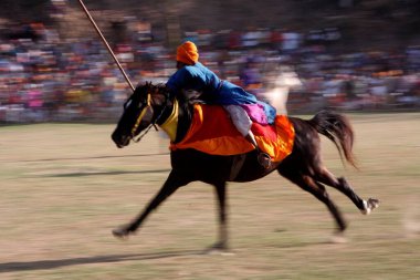 Nihang or Sikh warrior carrying spear performing stunts riding on horse during  Hola Mohalla festival at Anandpur sahib in Rupnagar district, Punjab, India  clipart