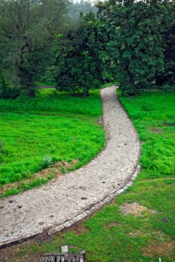 Çimenlik yemyeşil bahçede, Bombay Mumbai, Maharashtra, Hindistan 