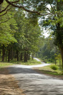 Yoğun ormanın içinden Nagarhole Vahşi Yaşam Sığınağı, Bölge Koorgu, Karnataka, Hindistan
