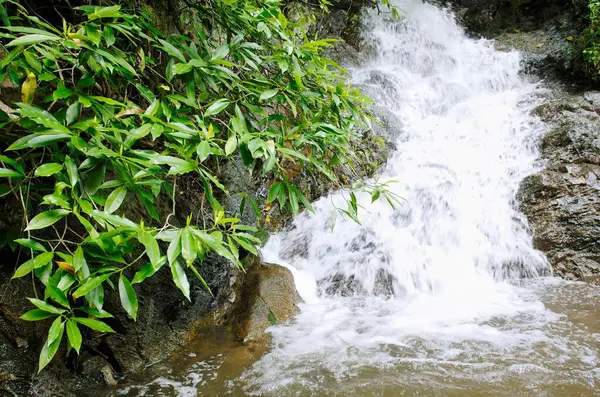 Coonoor yakınlarında bir şelale; Nilgiris; Tamil Nadu; Hindistan