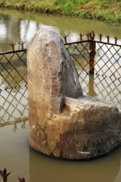 stock image Gotihawa is birthplace of Krakuchhanda Buddha, Ashoka pilgrimage this site in 249 B.C. and erected this pillar, UNESCO World Heritage, Lumbini, Nepal 