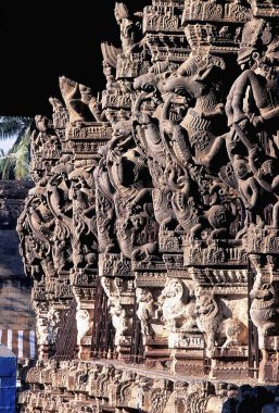 Varadarajaswamy Tapınağı 'ndaki sütun heykeller, Kanchipuram, Tamil Nadu, Hindistan 