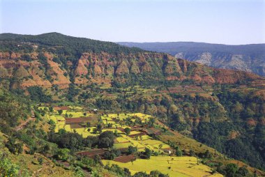 Village on the way to Tapola lake, Mahabaleshwar, Maharashtra, India  clipart