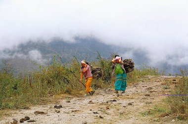 Hindistan 'da kırsal kesimde yaşayan kadınlar odun taşıyorlar. 