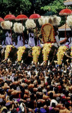 Pooram Festival, Thrissur, Kerala, India  clipart