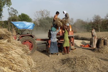 İnsanlar su sıkıntısı nedeniyle göç ediyorlar. Maharashtra, Hindistan